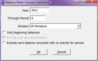 Balance and Income Statement Options